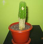 Натисніть на зображення для збільшення.
Назва: IMG_2870.jpg
Переглядів: 5359
Розмір: 97.3 Кб
ID: 1404