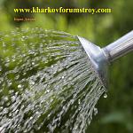 Натисніть на зображення для збільшення.
Назва: полив газона.jpg
Переглядів: 6314
Розмір: 333.6 Кб
ID: 743