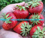 Натисніть на зображення для збільшення.
Назва: 5.jpg
Переглядів: 2497
Розмір: 201.4 Кб
ID: 1099